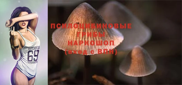 мет Зеленодольск