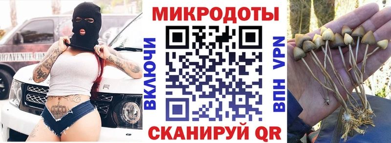 Галлюциногенные грибы Psilocybine cubensis  Купить закладки  Мантурово 
