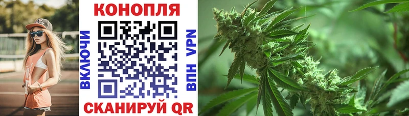 Конопля семена Купить где Мантурово